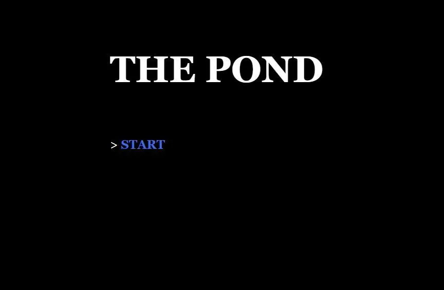 The Pond cover art