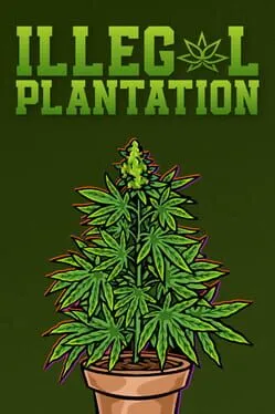 Illegal Plantation cover art