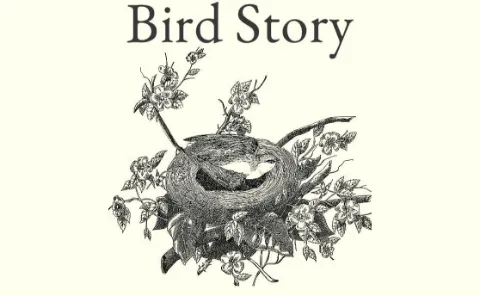 Bird Story cover