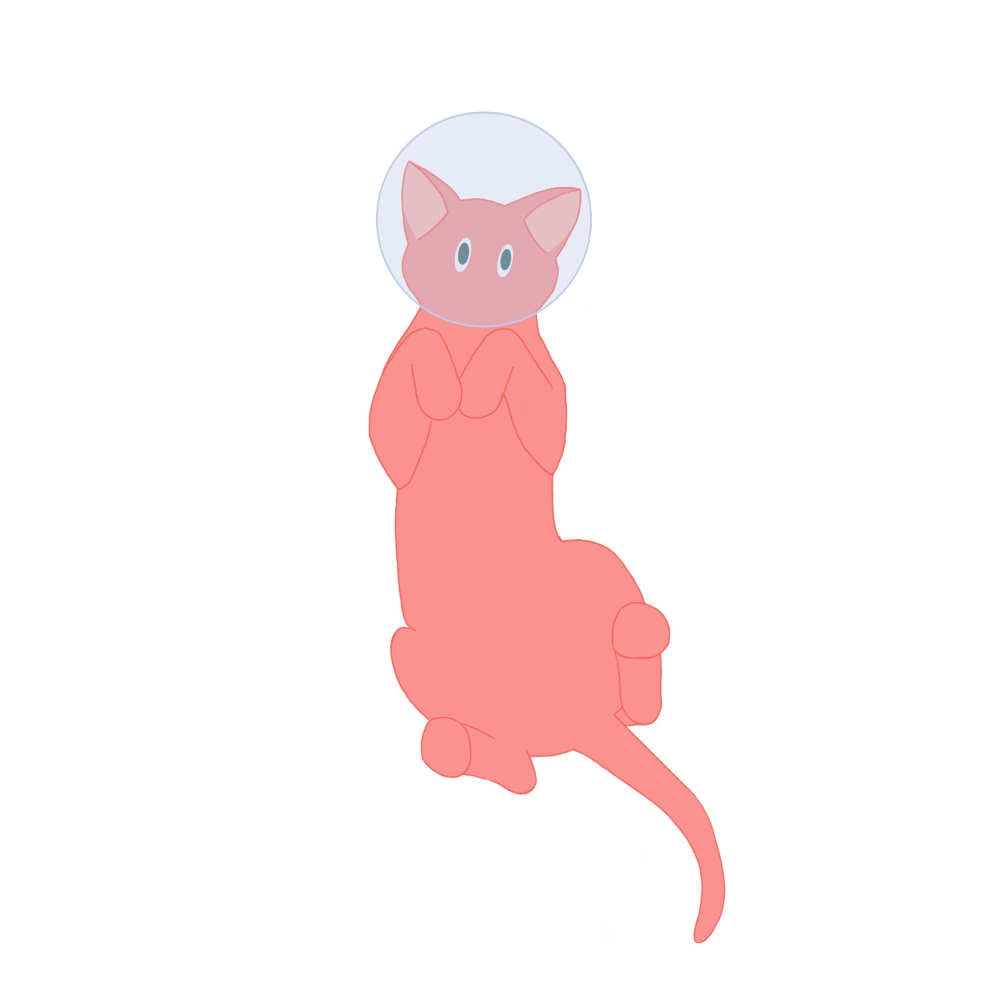 your cat cover art