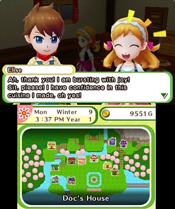 Harvest Moon: Skytree Village cover art