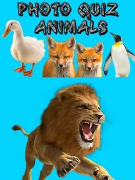 Photo Quiz: Animals cover