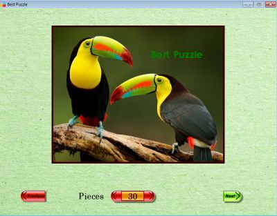 Best Puzzle cover art