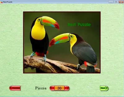 Best Puzzle cover art