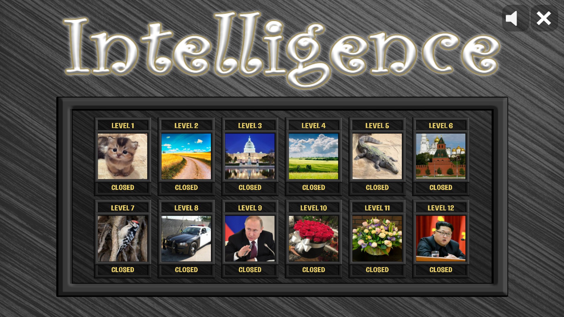 Intelligence cover art