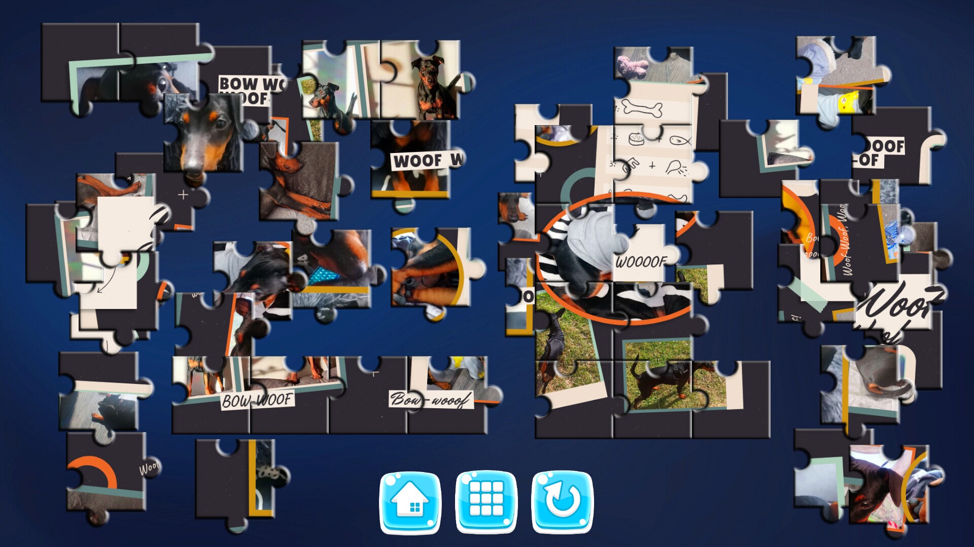 MY DOG! cover art