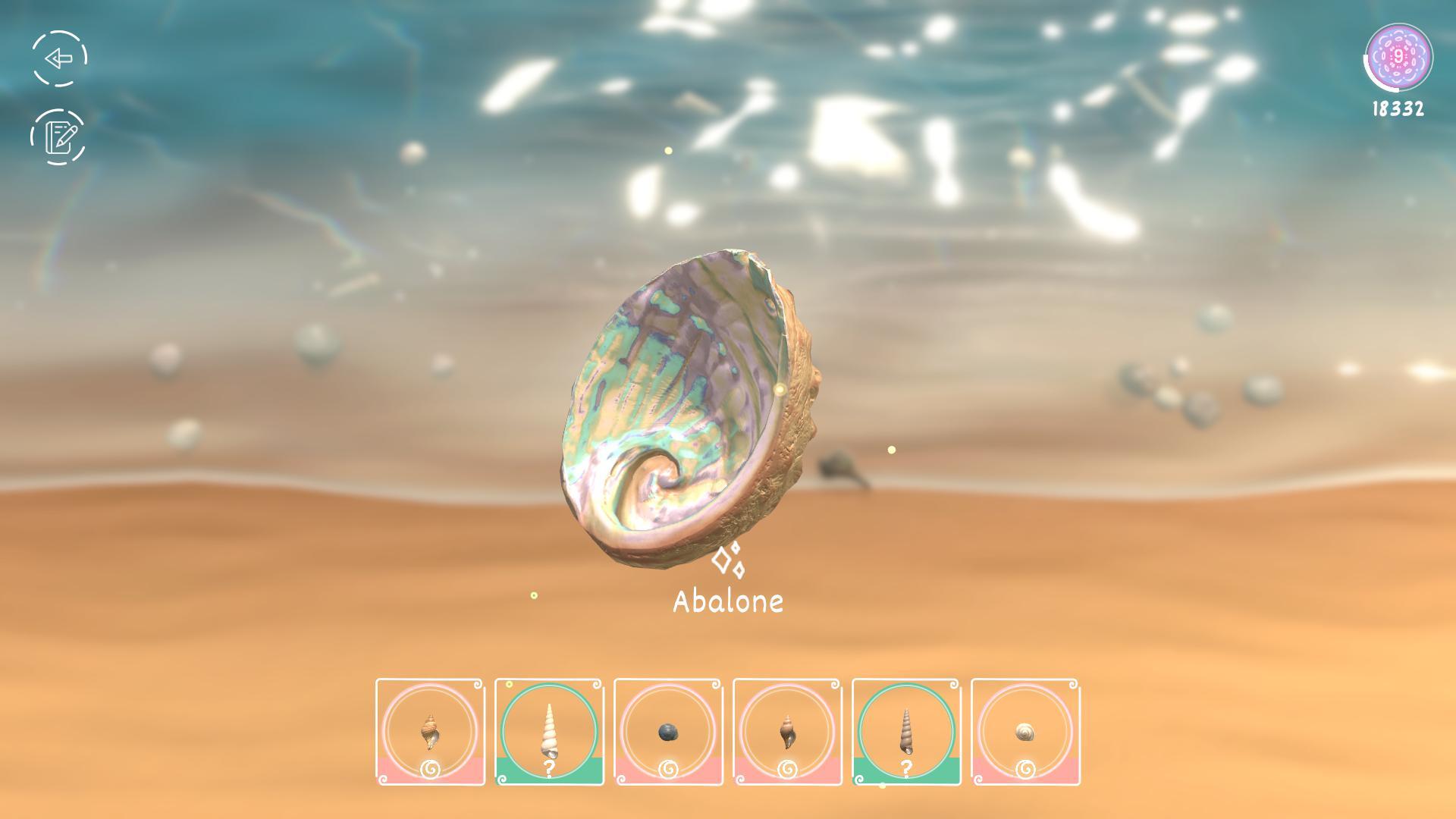 Seashell cover art