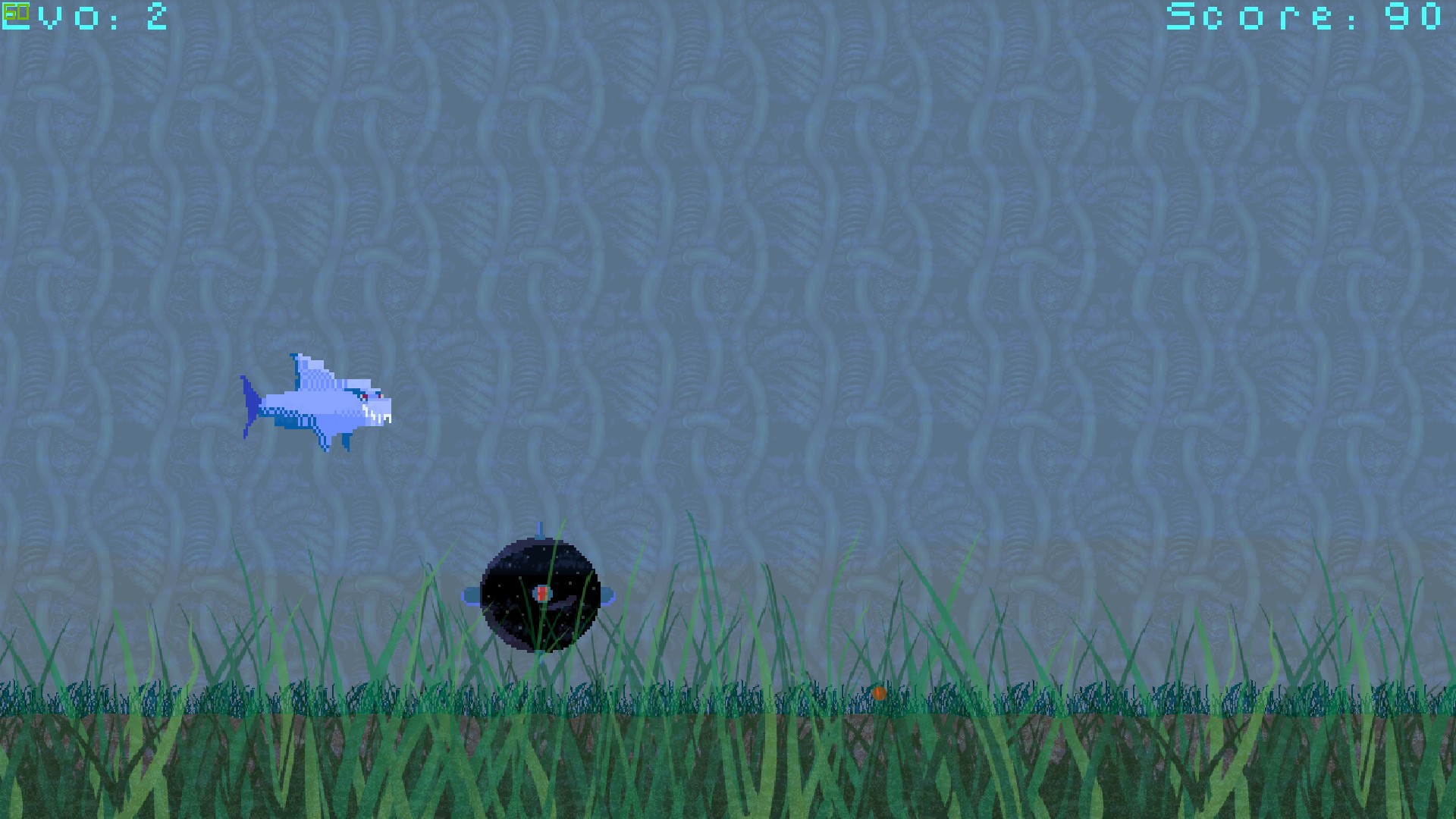 SHARK cover art
