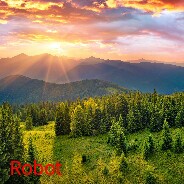 Robot cover art