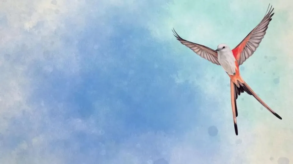 Wingspan cover art