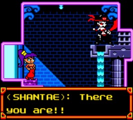 Shantae cover art