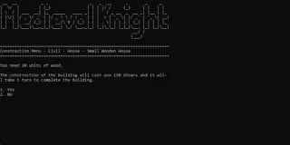 Medieval Knight cover