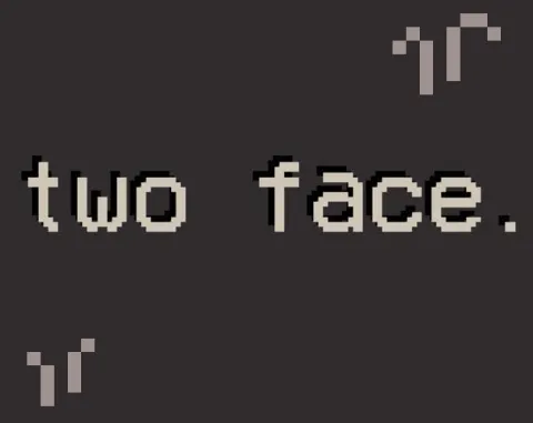 two face cover
