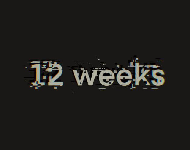 12 weeks cover art