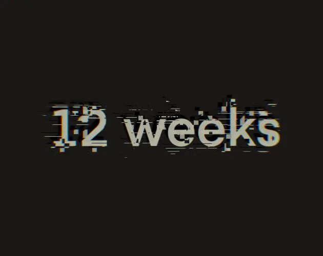 12 weeks cover art