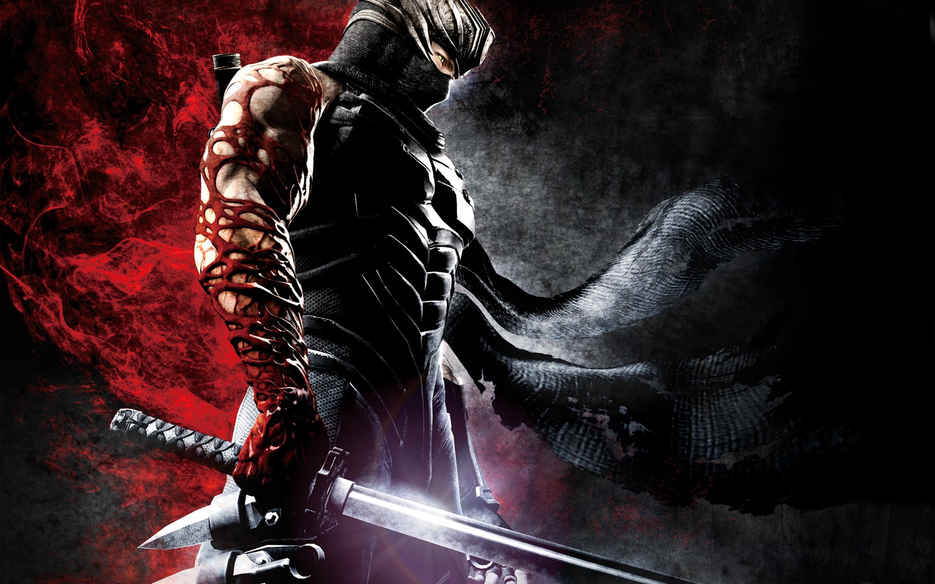 Ninja Gaiden 3 cover art