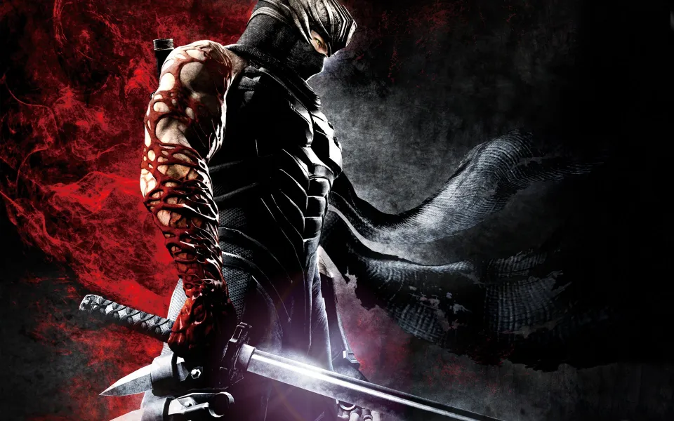 Ninja Gaiden 3 cover art