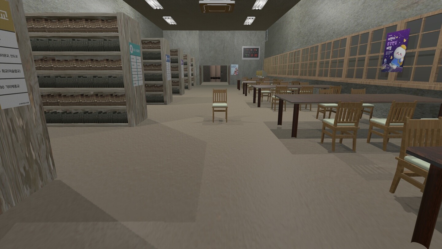 The Library cover art