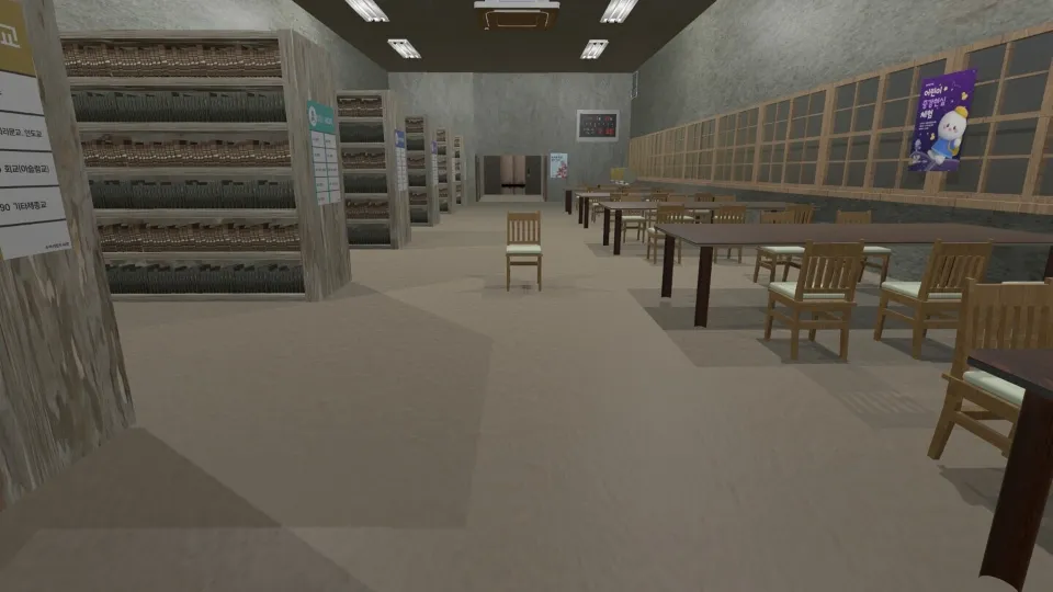 The Library cover art