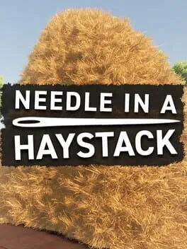 Needle In A Haystack cover art