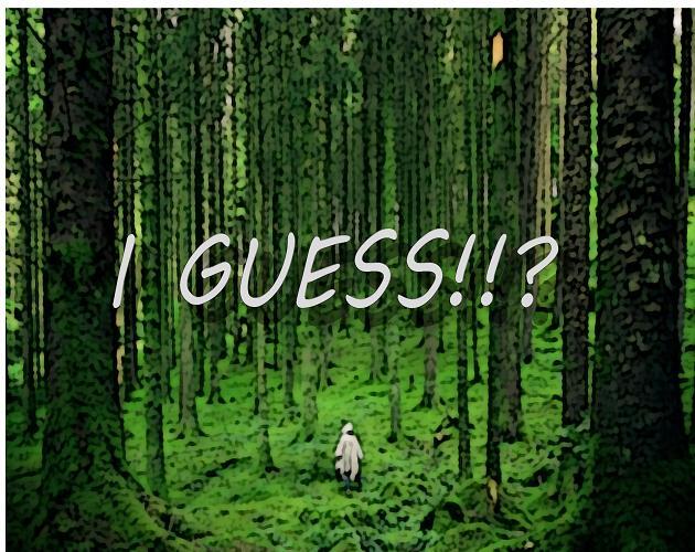 I GUESS!!? cover art