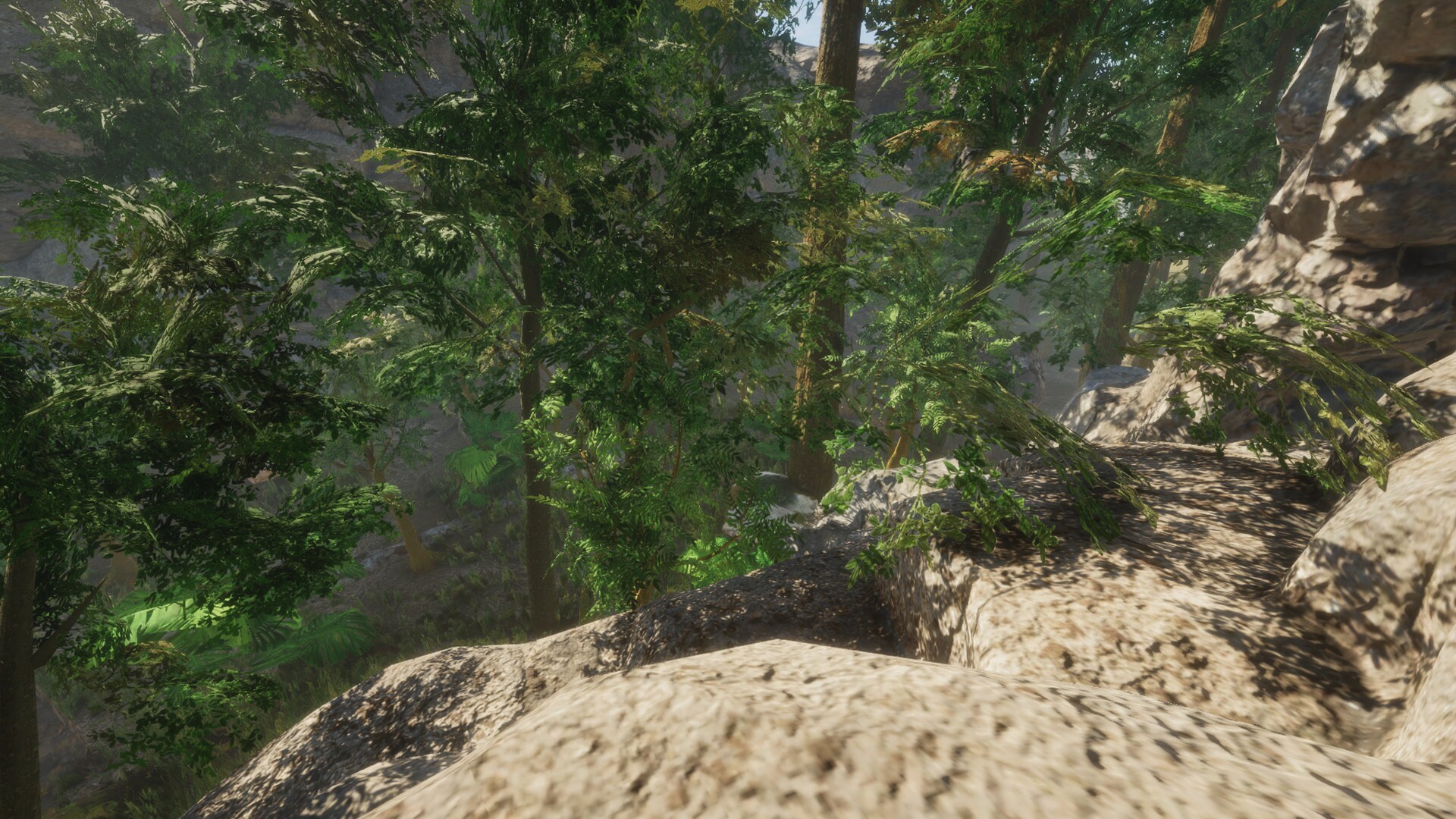 Forest cover art