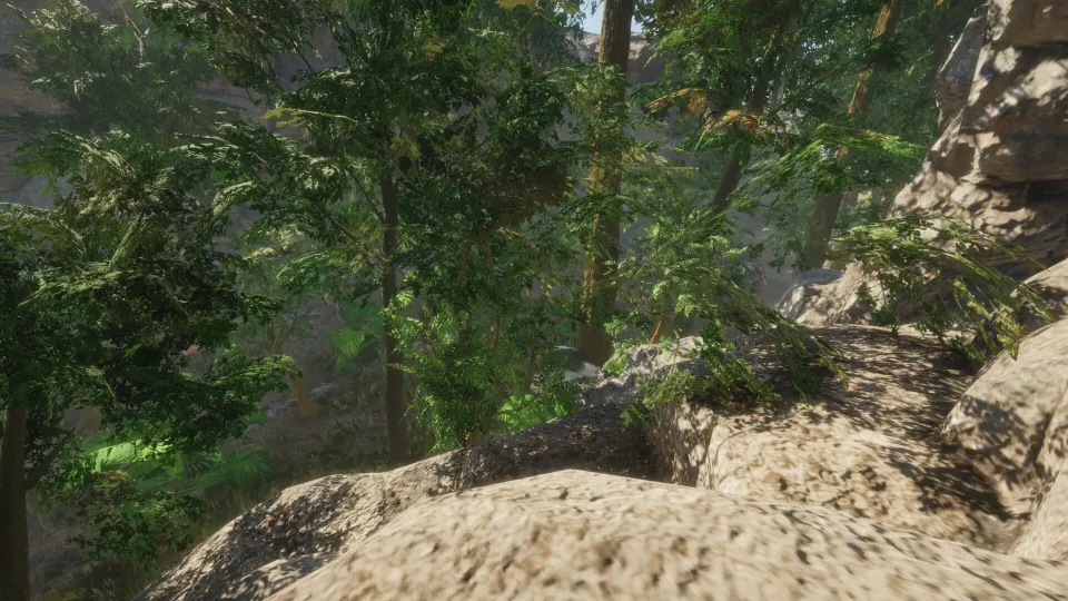 Forest cover art