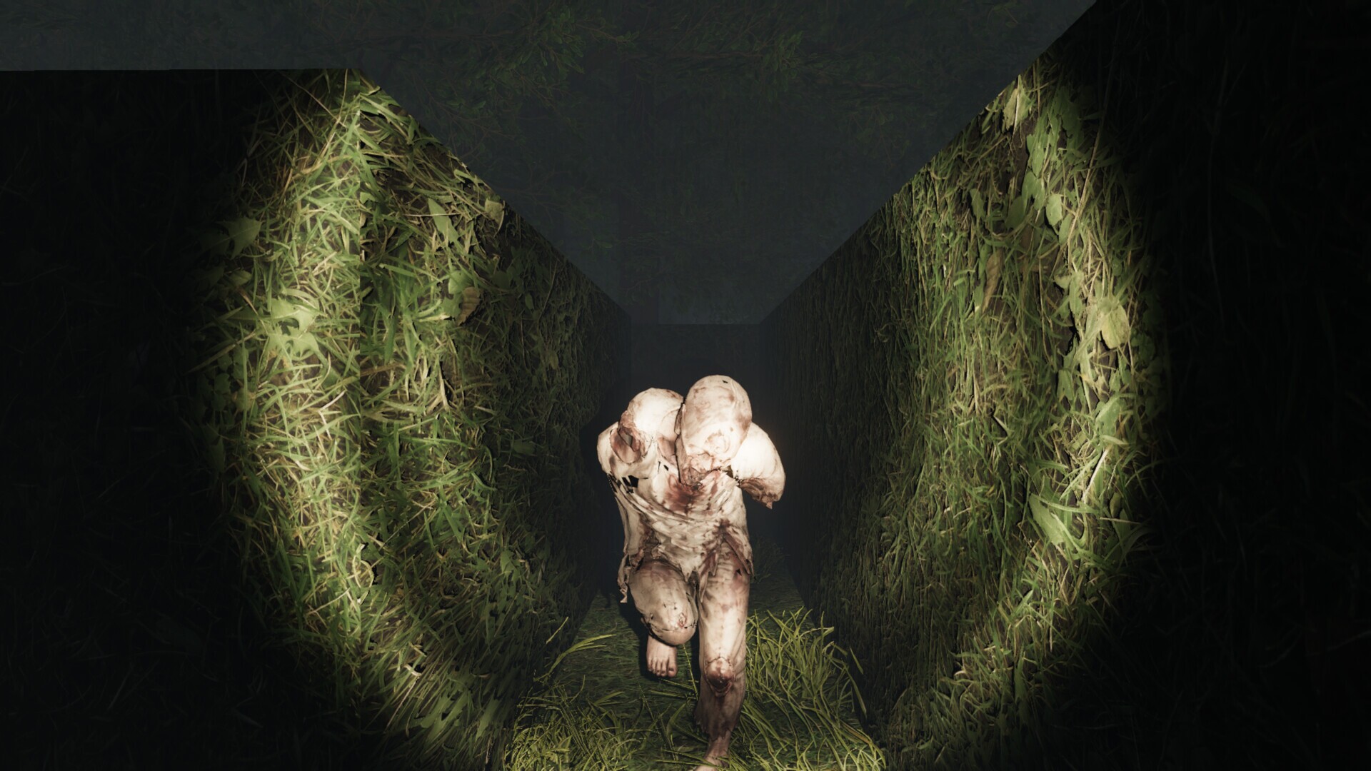 Drident cover art