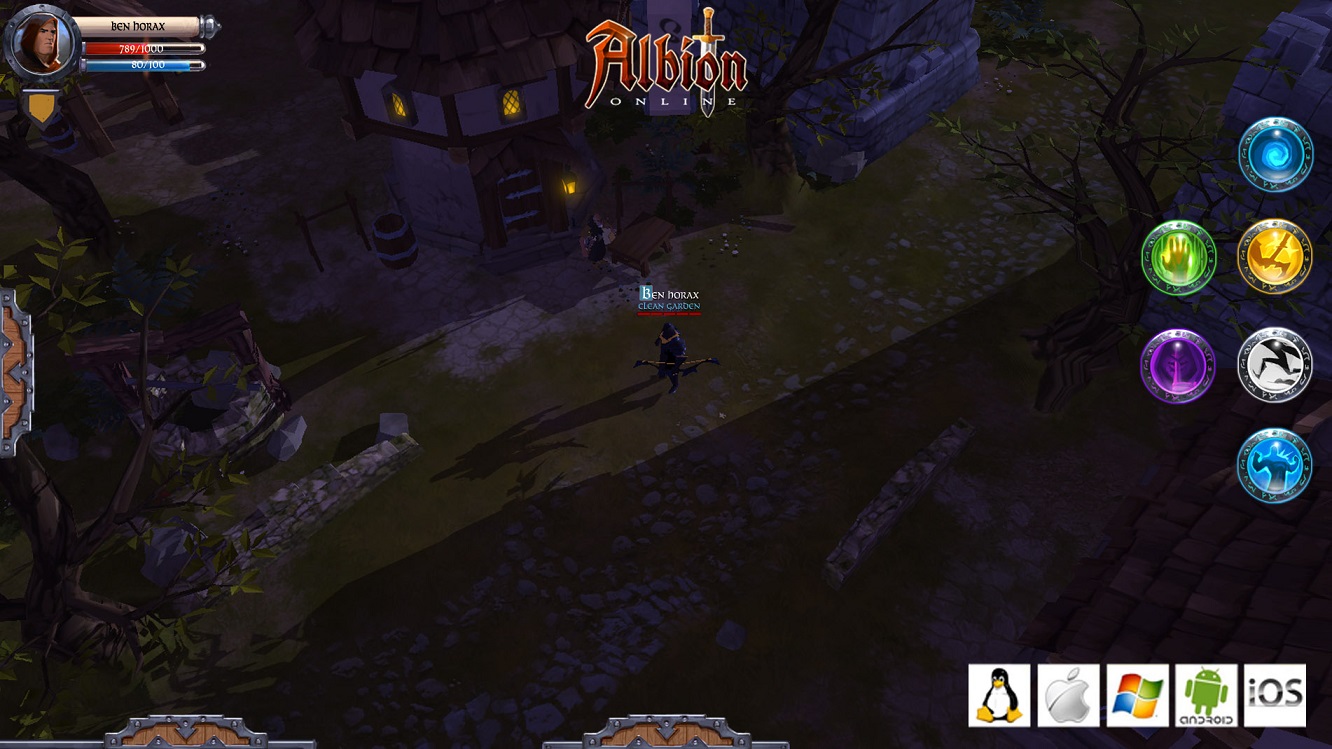 Albion Online cover art