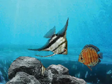 Aquarium cover art