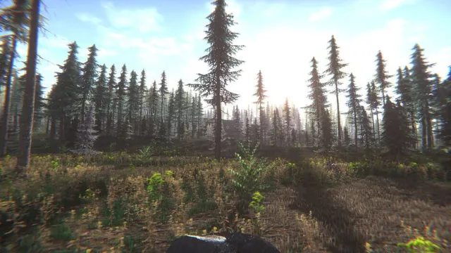 Mushroom Challenge screenshot