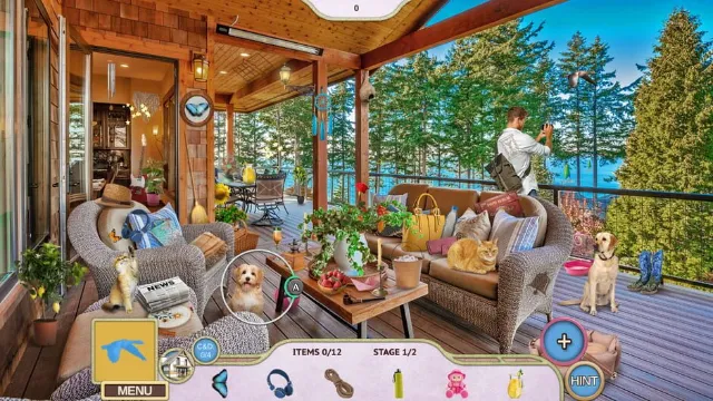 Sweet Home 2: Look and Find - Collector's Edition screenshot