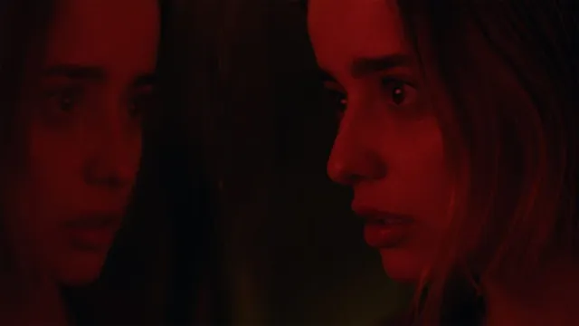 Erica screenshot