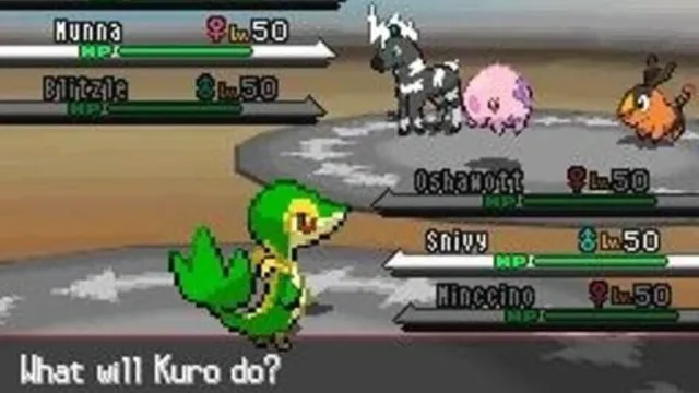 Pokémon White Version screenshot