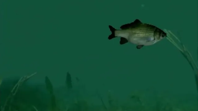 Reel Fishing screenshot