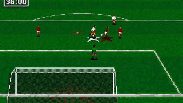 Striker '95 screenshot