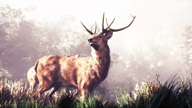 The House in the Hollow screenshot