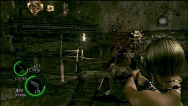 Resident Evil 5: Collector's Edition screenshot