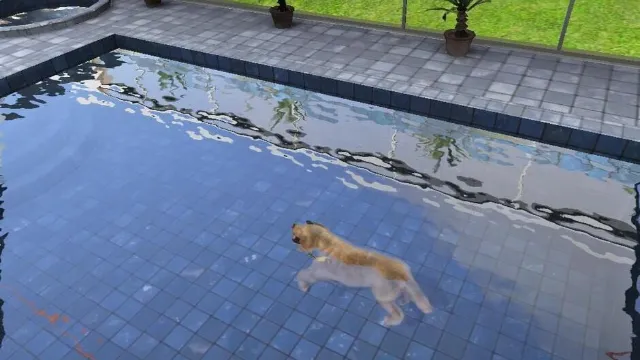 Paws & Claws: Pampered Pets screenshot