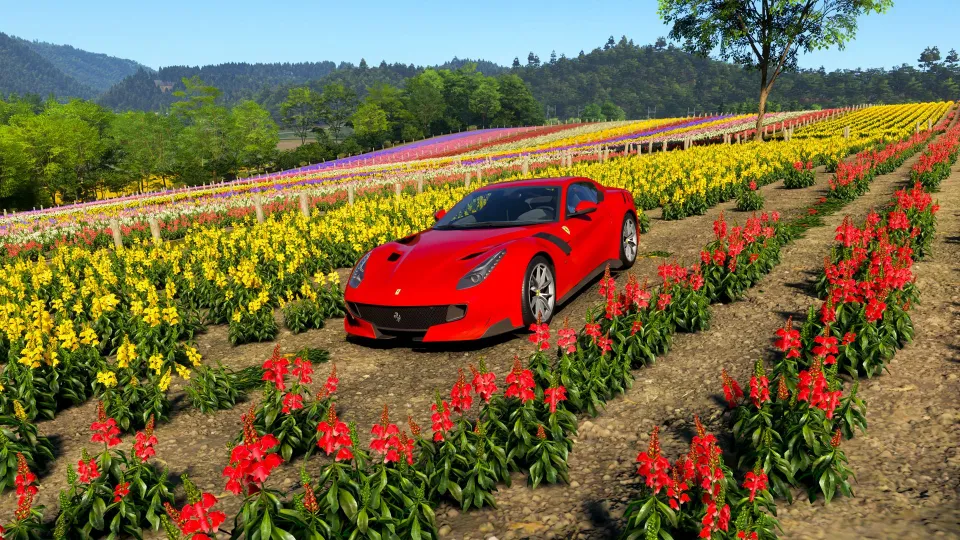 Shikisai-no-Oka location in Forza Horizon 6.