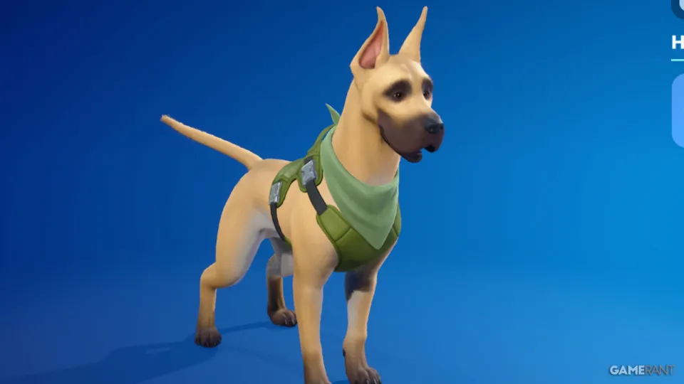 How to Get The Dane Sidekick for FREE in Fortnite