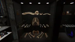 How To Find Bones In Phasmophobia