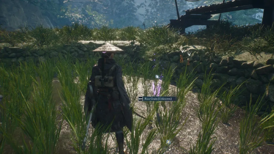 All Electronic Brain Locations in Beast of Reincarnation