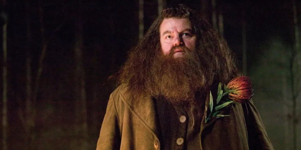 Why Hagrid Was Expelled But Still Allowed to Live at Hogwarts, Explained