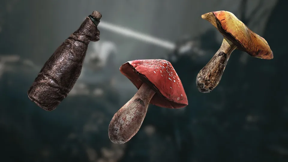 What are Permanent Pickups (PP) in Mortal Shell 2?