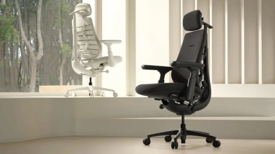 LiberNovo Omni Pro Dynamic Ergonomic Chair Review: When a Chair Deserves to Go Viral