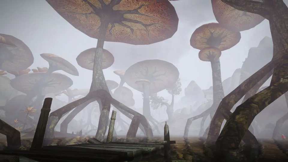 The Elder Scrolls III: Morrowind Tamriel Rebuilt mod now available on GOG
