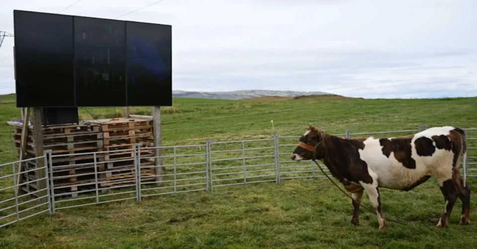 You Can Play EVE Online With A Real Cow Tomorrow, Seriously