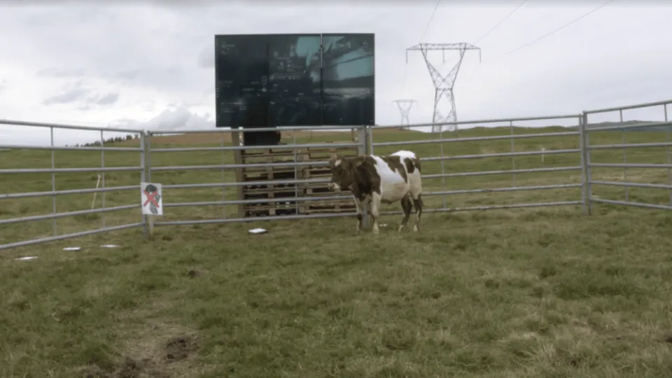 I Played EVE Online With A Cow And It Was Glorious