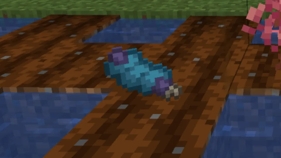 How to Grow Kelpsy Berries in Cobblemon Minecraft